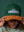 Dreamers Baseball Cap - Green and Brown